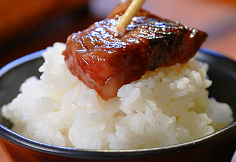 コイツと外気浴は同義だと思ってる